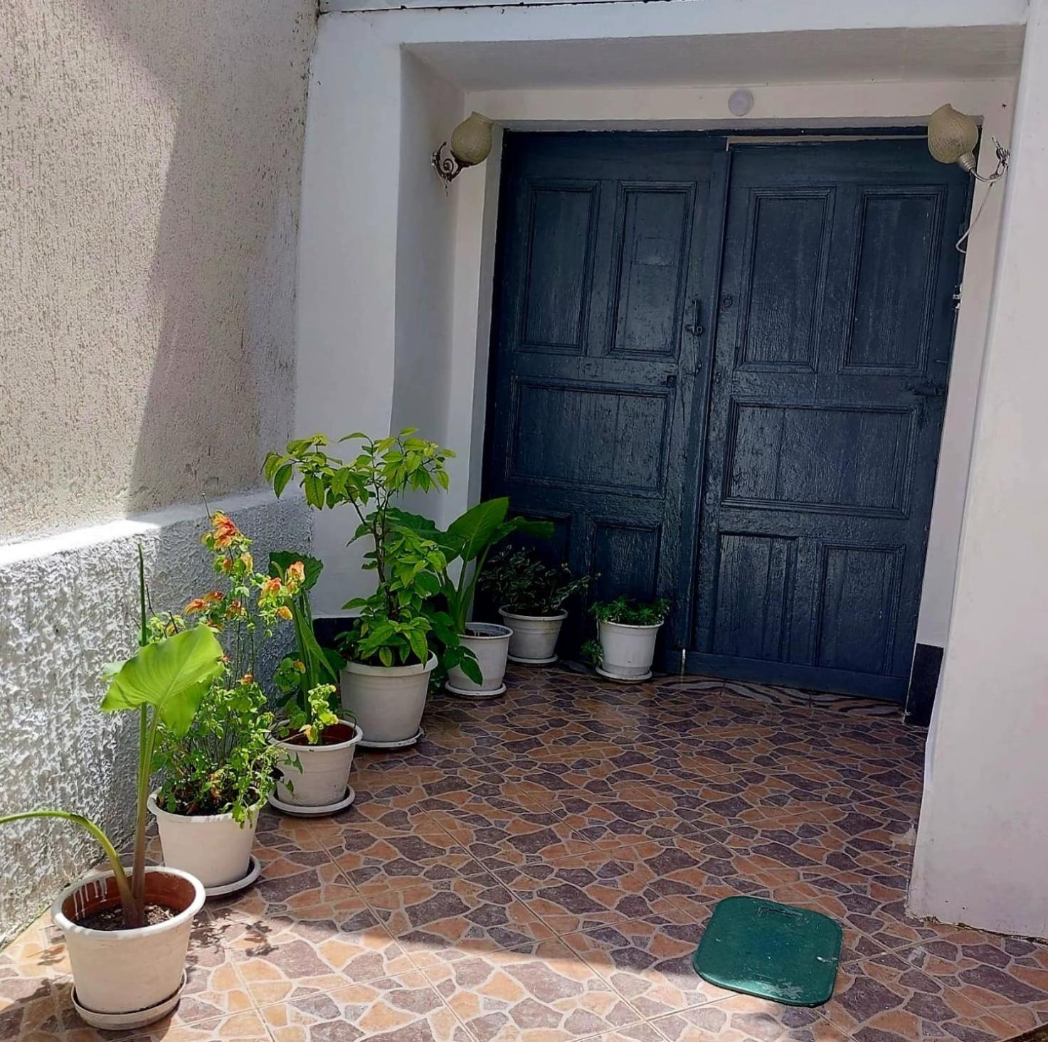 Guest House Flowers Berat Ngoại thất bức ảnh