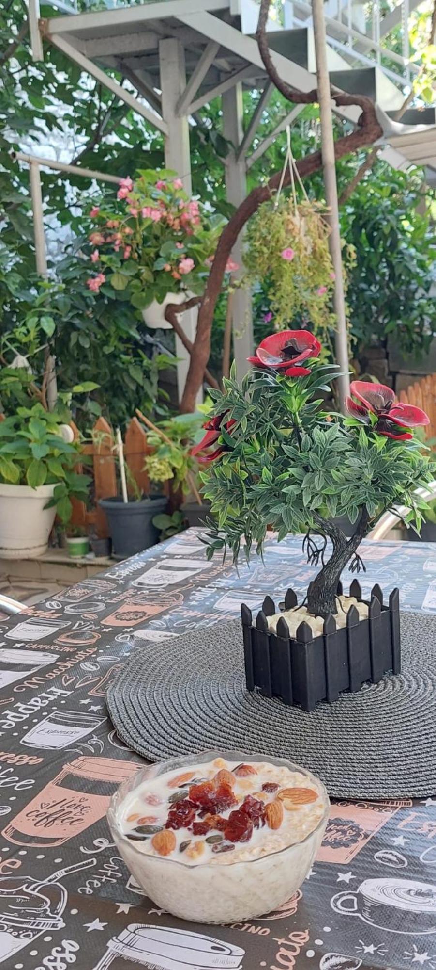 Guest House Flowers Berat Ngoại thất bức ảnh