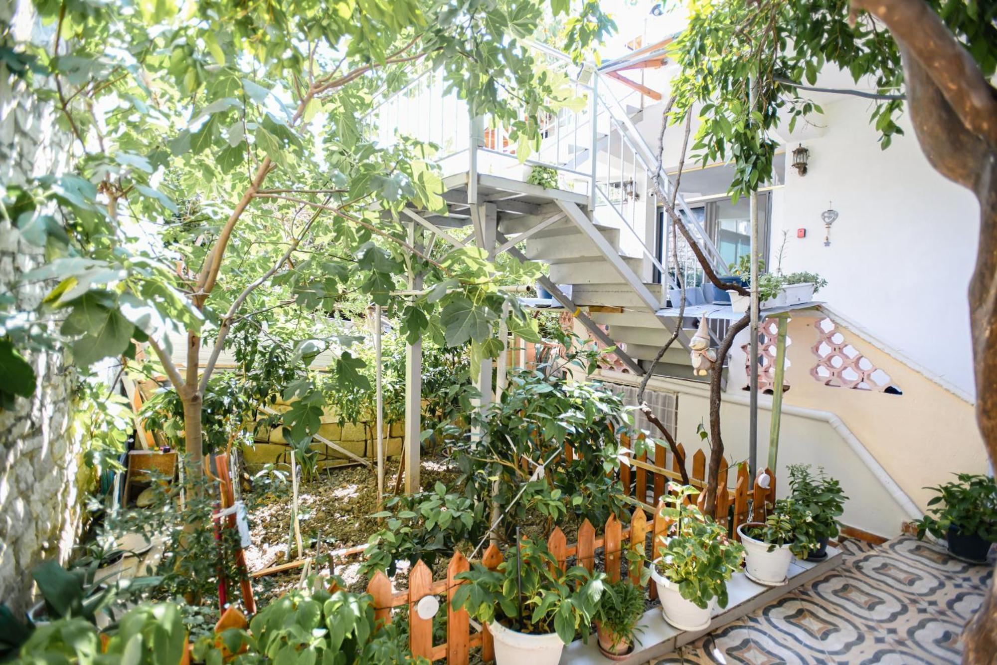 Guest House Flowers Berat Ngoại thất bức ảnh